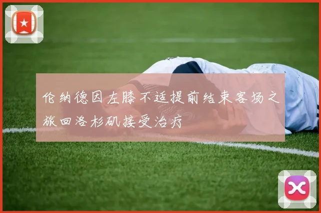 伦纳德因左膝不适提前结束客场之旅回洛杉矶接受治疗
