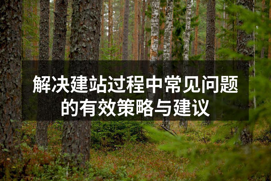 建站过程中技术难题的解决
