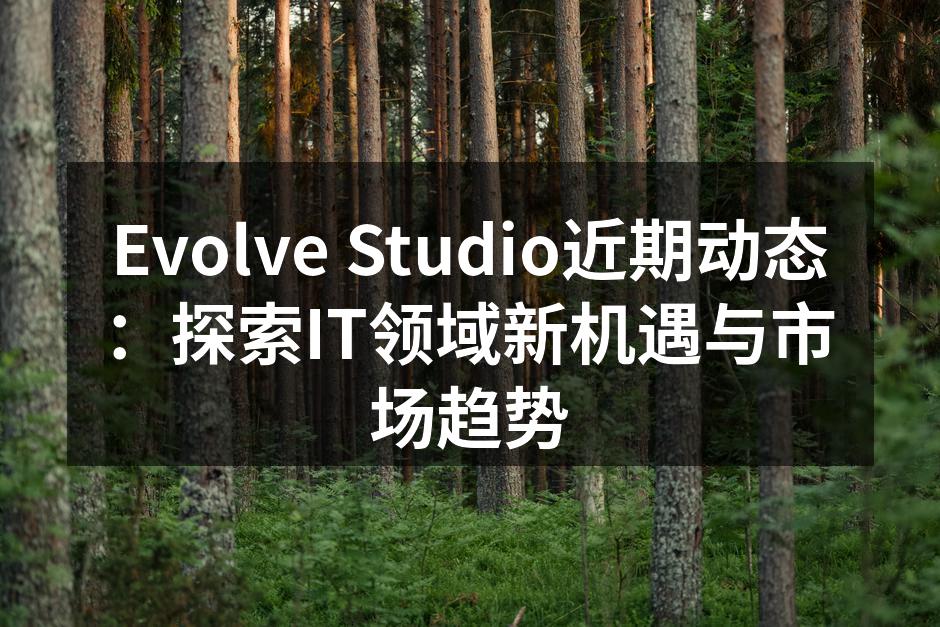 Evolve Studio团队会议现场